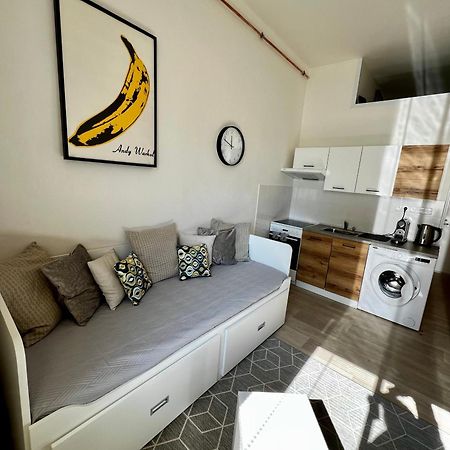 Apartman Zlata Hvezda Чеське Будєйовіце Екстер'єр фото